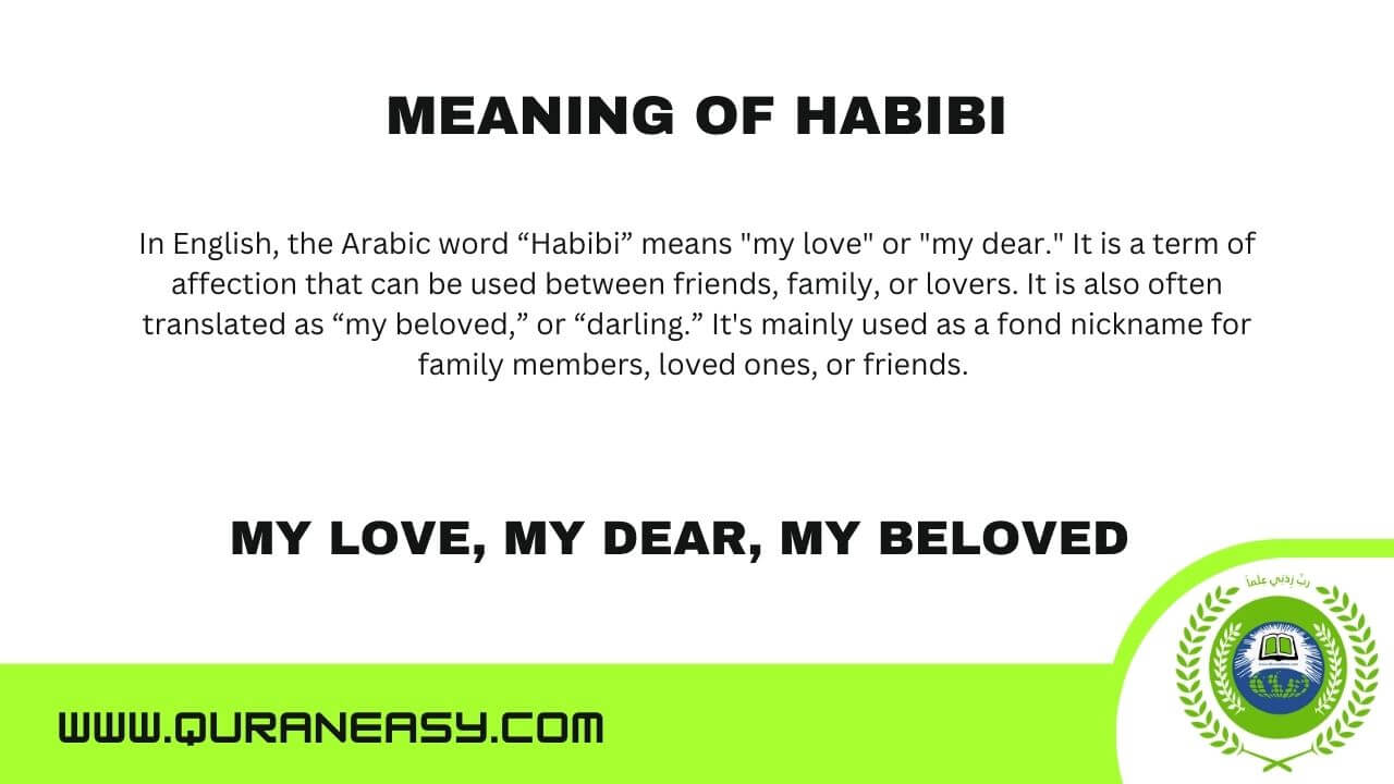Habibi Meaning: Yallah, Wallah, Shukran Habibi Expressions